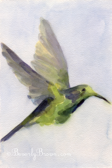 bird art print watercolor|Beverly Brown Artist