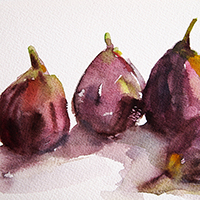 fig season - Beverly Brown watercolor