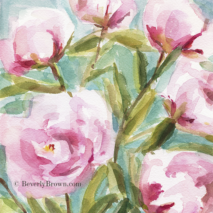 Pink Peony Branches - Watercolor Floral Art Print. From a series of new paintings by Beverly Brown | Framed and canvas wall art for sale at www.beverlybrown.com
