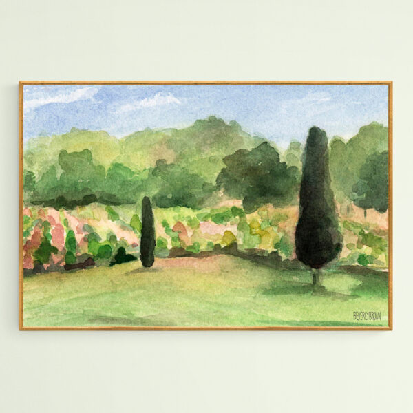 Vineyard in Provence - Giclée Print